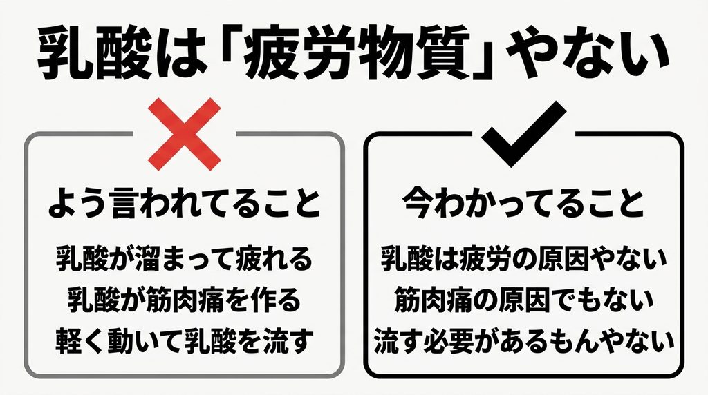 乳酸についてよく言われる3つの誤解と、今わかっている事実を左右で対比した図解。乳酸は疲労の原因でも筋肉痛の原因でもないことを示している