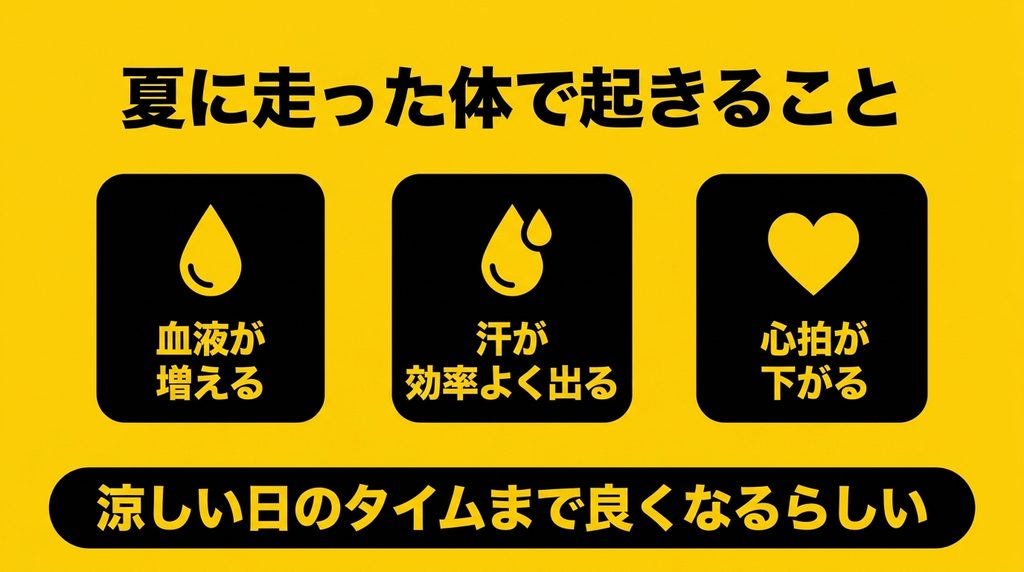 暑い中で走り続けた体に起きる3つの変化