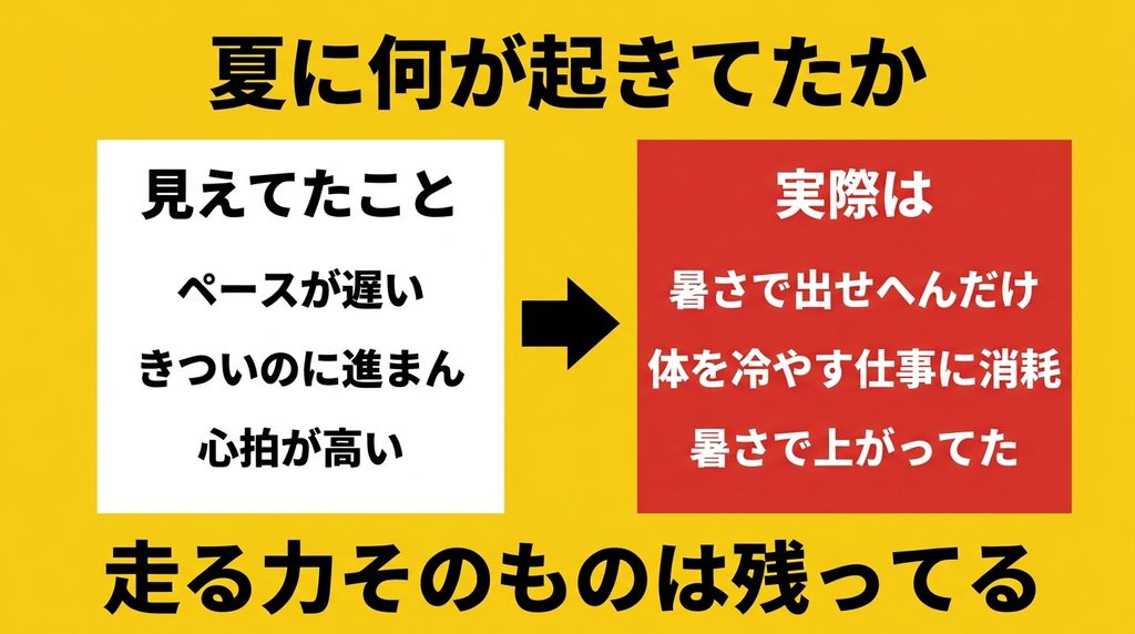 夏にペースが落ちた本当の理由