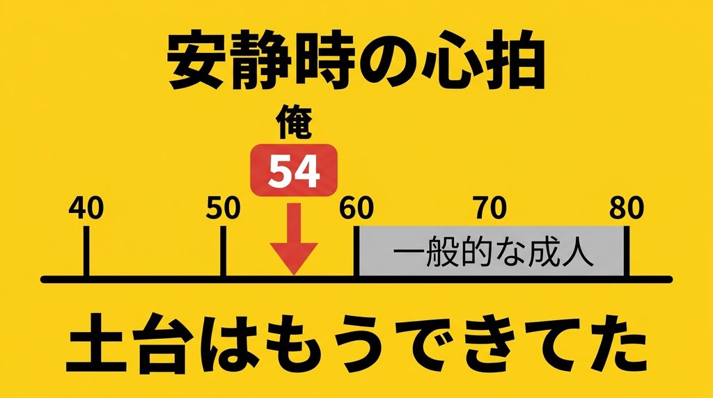 安静時心拍54と一般的な成人の範囲の比較