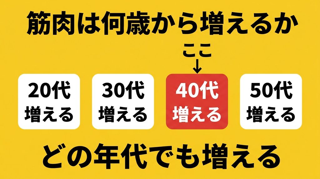 年代別に見た筋肉の増えやすさ